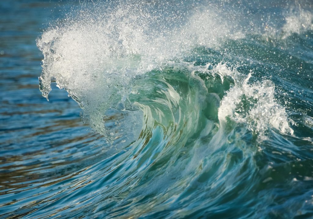 Waves supply nutrients to marine ecosystems