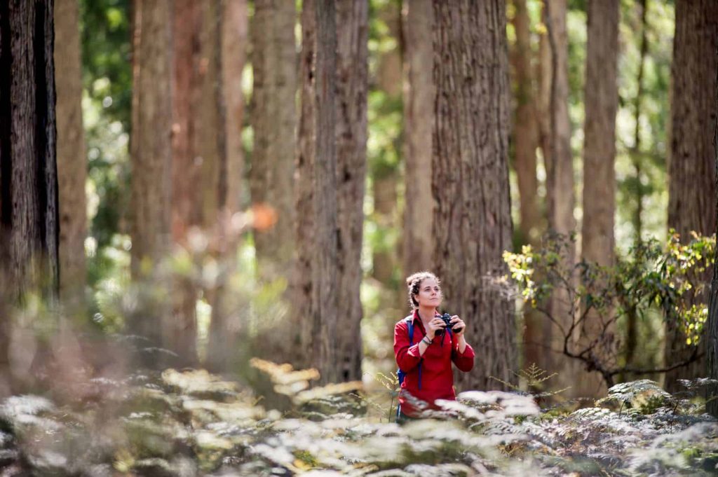 Victorian National Parks Association