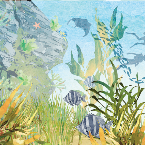 Image thumbnail