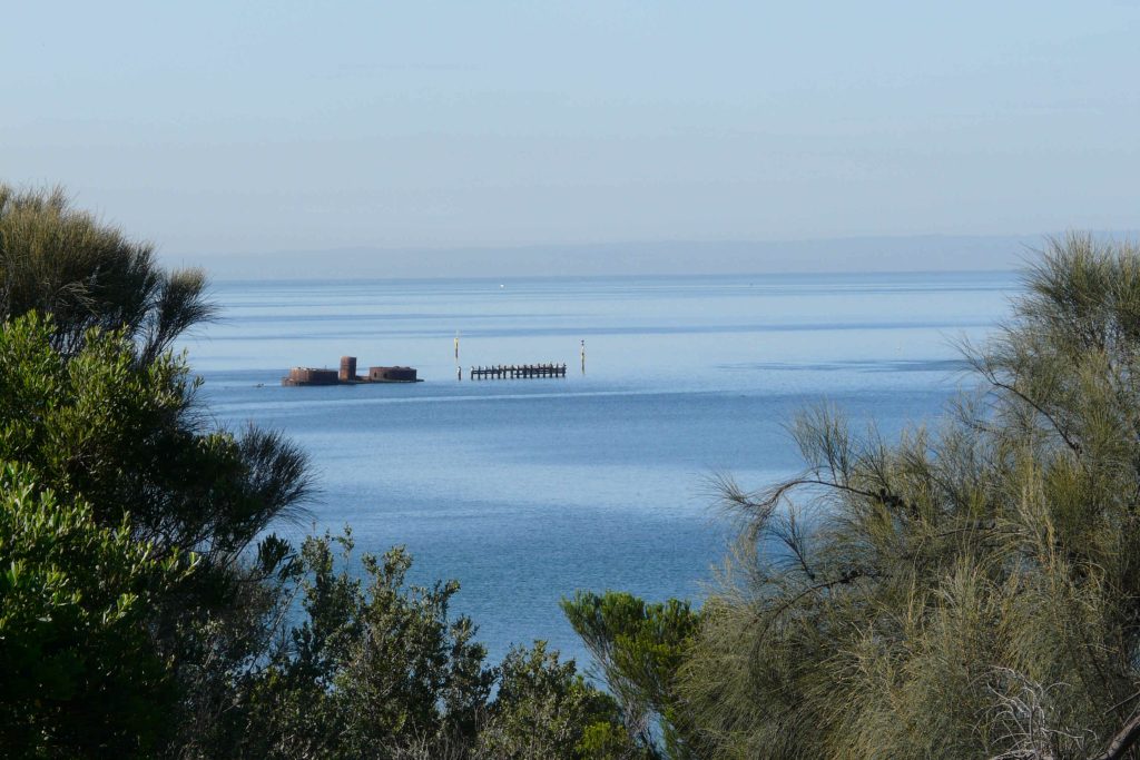 Black Rock and Sandringham Conservation Association Inc