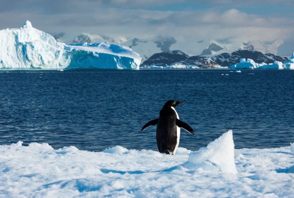 Antarctic Sea Ice