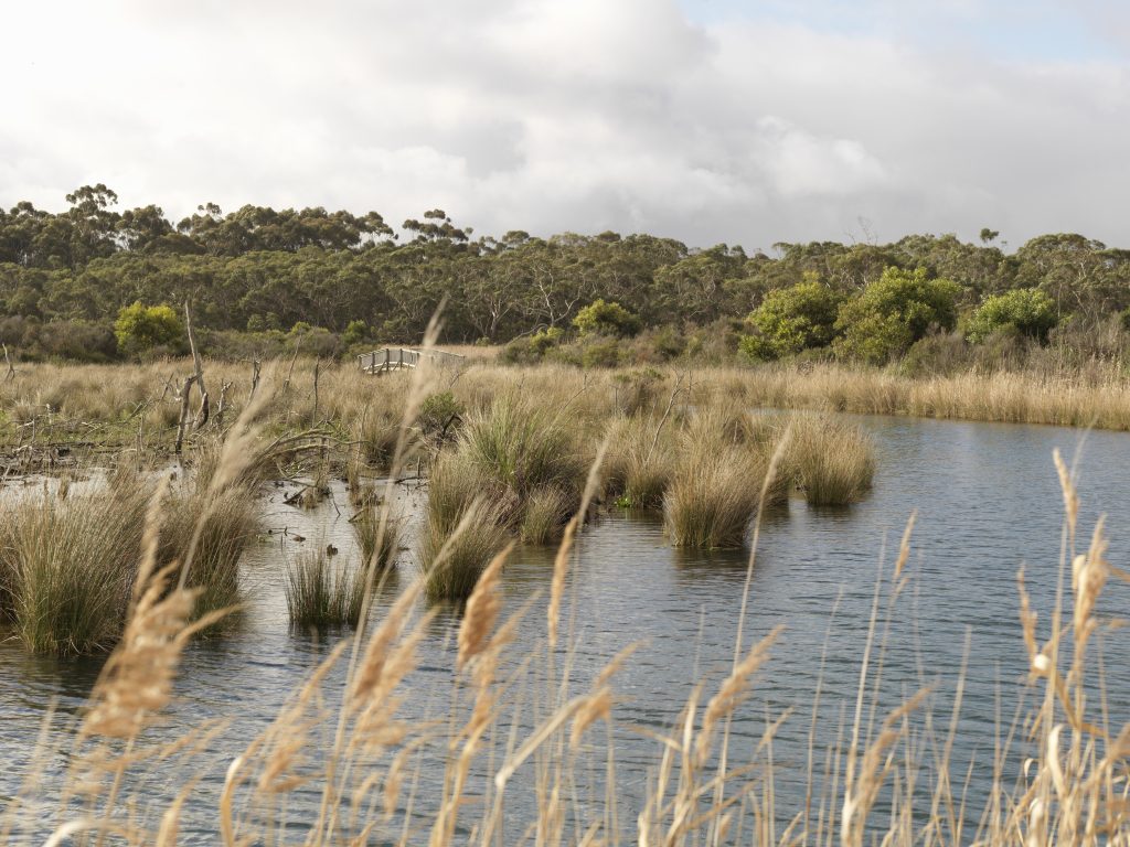 EstuaryWatch