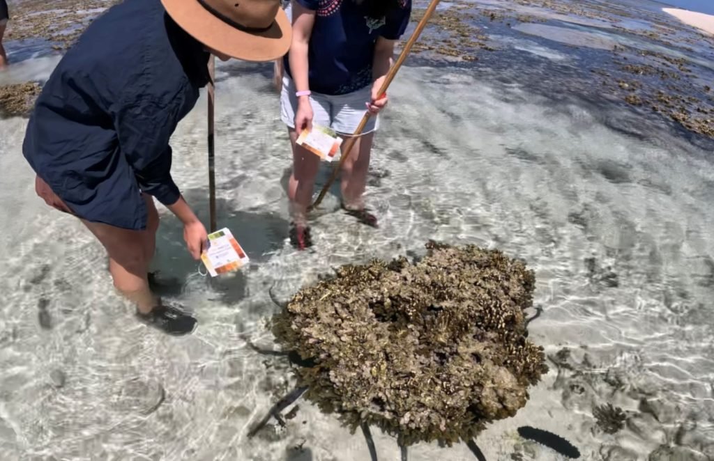 Coral reefs and climate change