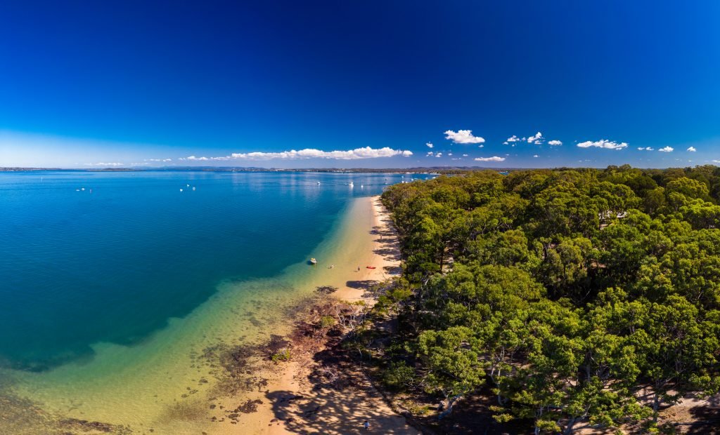 Corals at Your Doorstep (Moreton Bay, QLD)