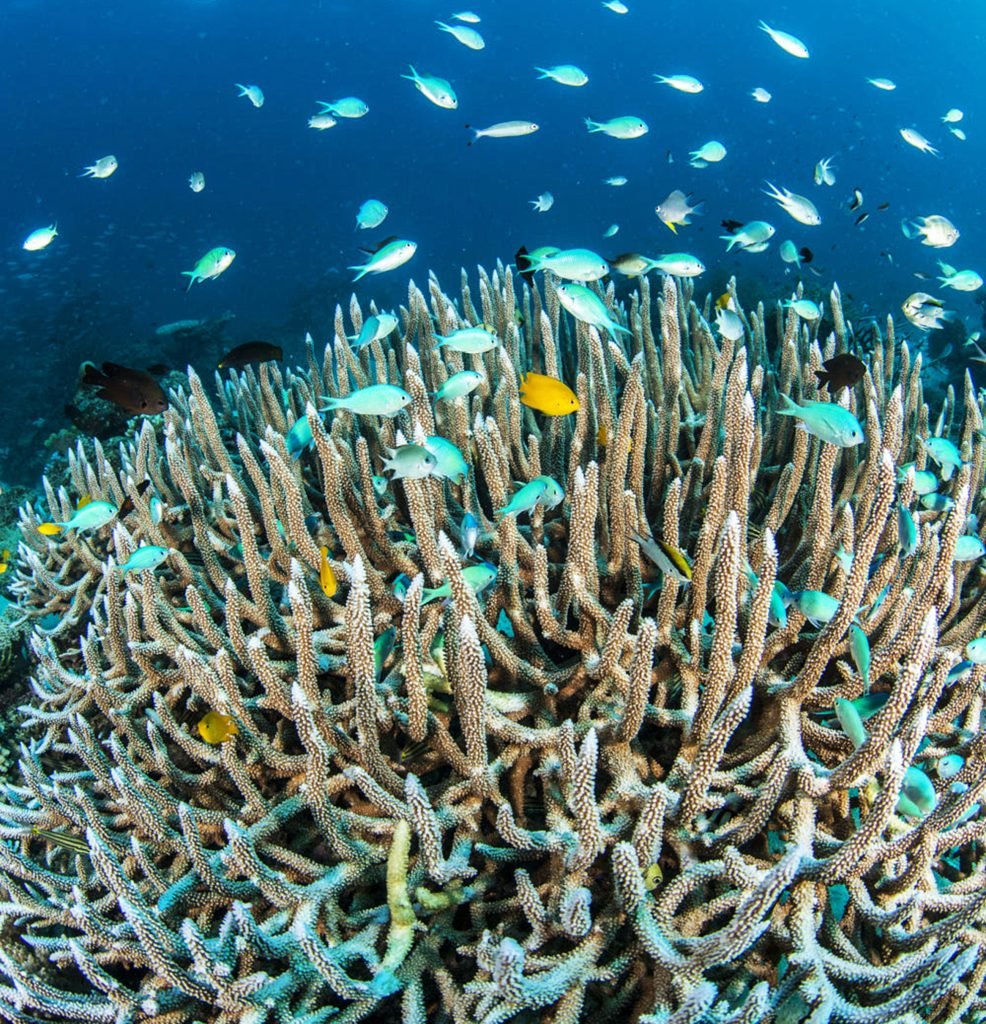 Marine Systems – connections and change