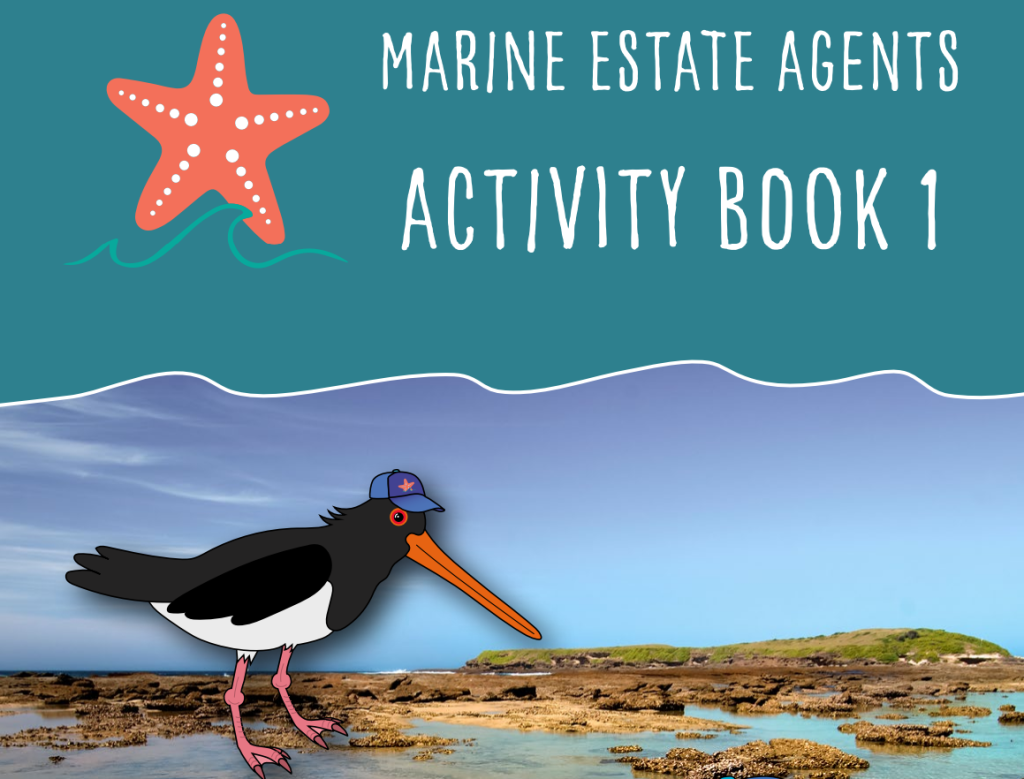Marine Estate Agents Activity Book 1
