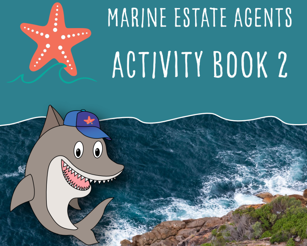 Marine Estate Agents Activity Book 2