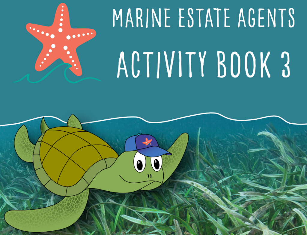 Marine Estate Agents Activity Book 3