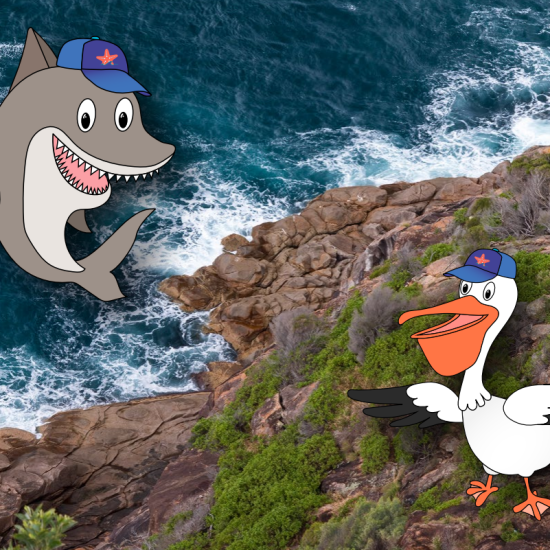 Image thumbnail