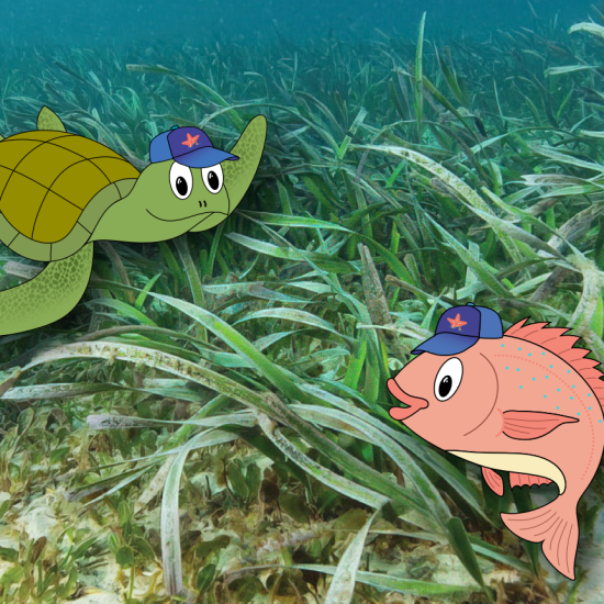 Image thumbnail