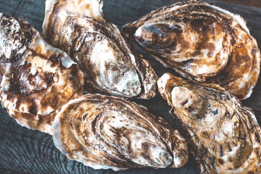 The Forgotten Reefs – Shellfish Reefs in NSW (Year 3-6)
