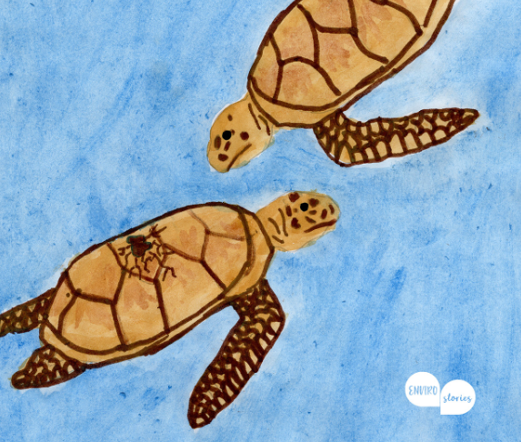 EcoGroms Rescue Timmy Turtle