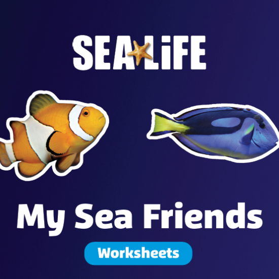 Image thumbnail