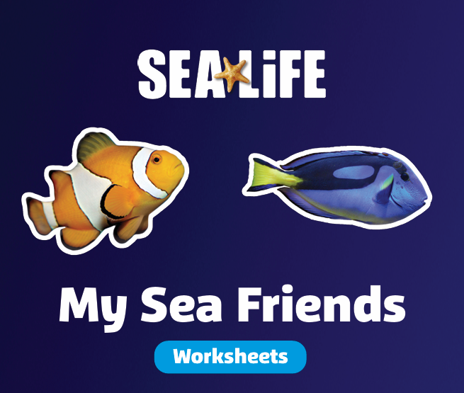 My Sea Friends