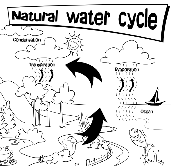 Natural Water Cycle Colouring Sheet