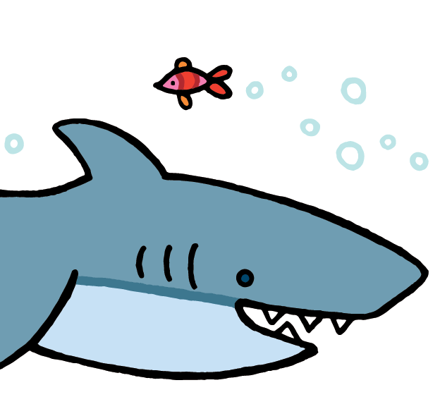 ‘That’s Not My Shark’ Play Cards