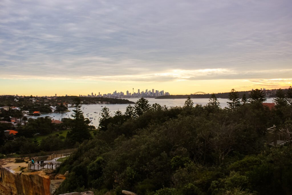 Meet Barani – A Sydney Story on Water, Land and Sky Country