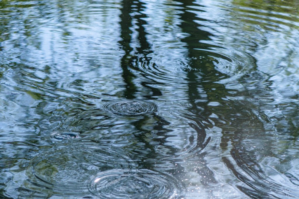 Natural Water Cycle Factsheet