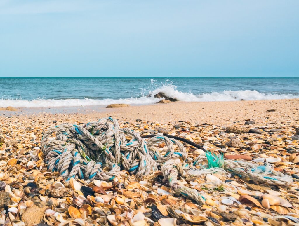 What Belongs in the Ocean?