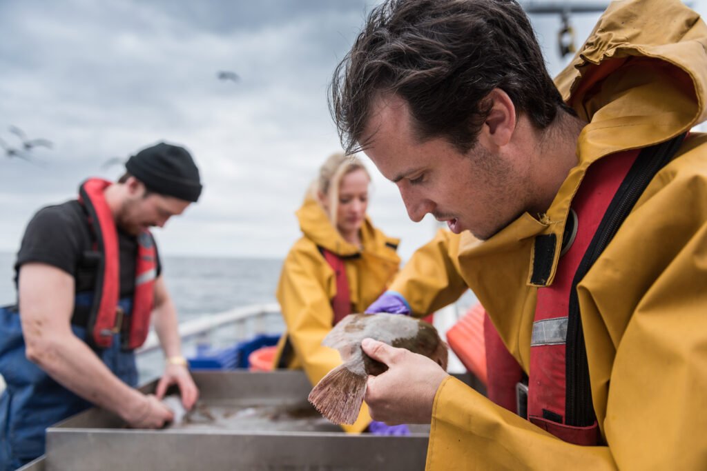 The Future Workforce of SEA LIFE