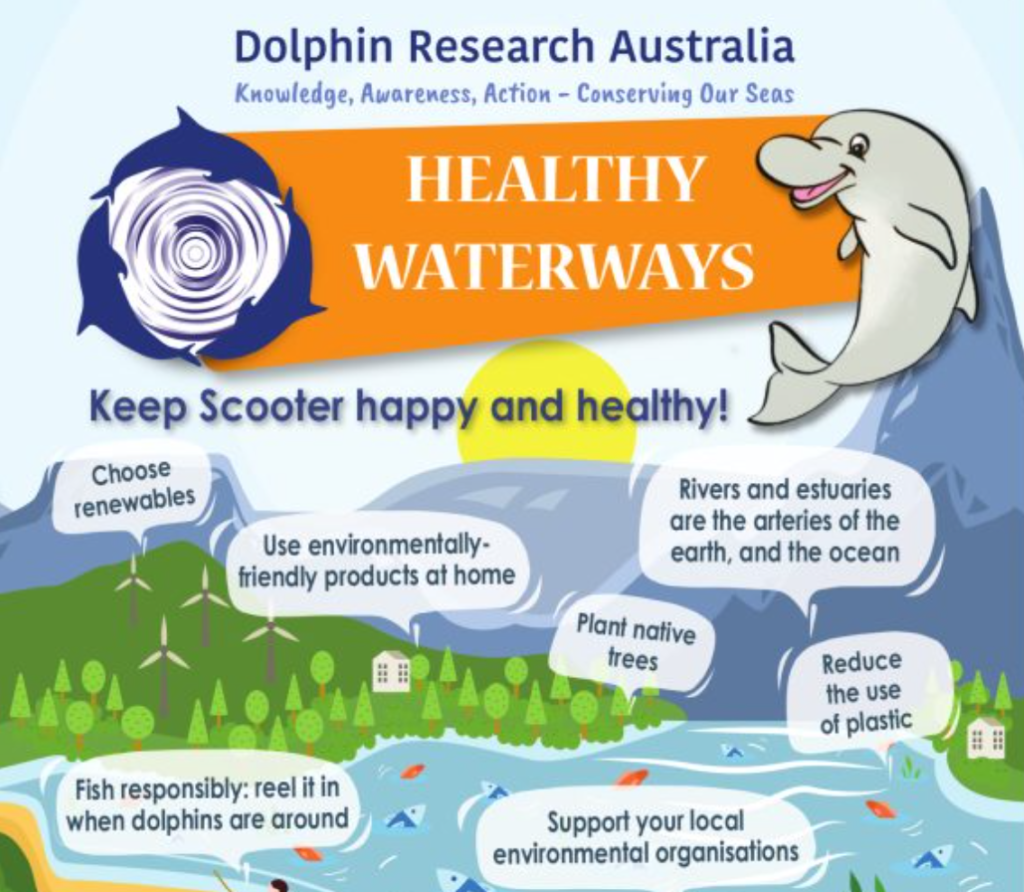 Healthy Waterways & Unhealthy Waterways Posters